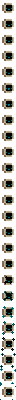 End Portal Pet