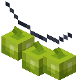 String Lights (Lime)