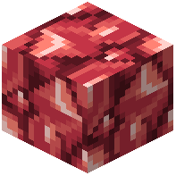 Fighting Tera Block