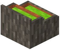 card_display_acacia_lime