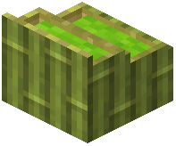 card_display_bamboo_lime