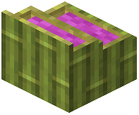 card_display_bamboo_magenta