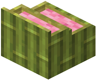 card_display_bamboo_pink