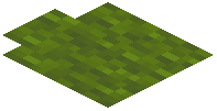 card_display_biomesoplenty_palm_green