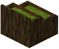 card_display_dark_oak_green