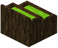 card_display_dark_oak_lime