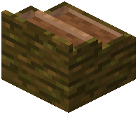 card_display_jungle_brown