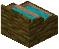 card_display_jungle_cyan