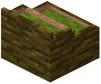 card_display_jungle_green