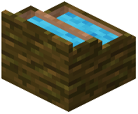 card_display_jungle_light_blue