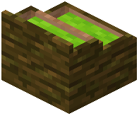 card_display_jungle_lime