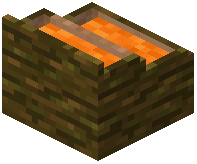 card_display_jungle_orange