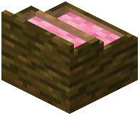 card_display_jungle_pink