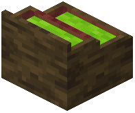 card_display_mangrove_lime
