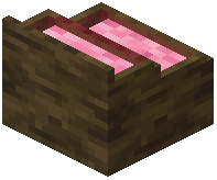card_display_mangrove_pink