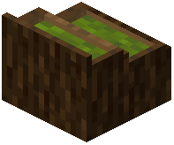 card_display_spruce_green