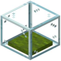 display_case_green