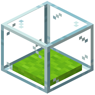 display_case_lime
