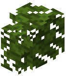 Dark Oak Hedge
