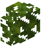 Jungle Hedge