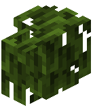 Mangrove Hedge