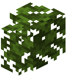 Oak Hedge