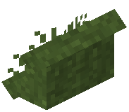 Grass Steep Top Roof