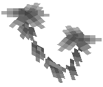 Wilted Hanging Leaves