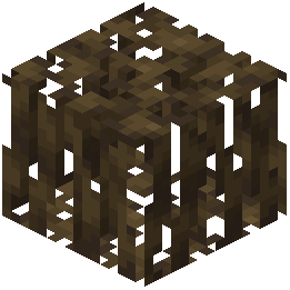 Mangrove Roots
