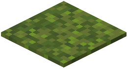 Moss Carpet
