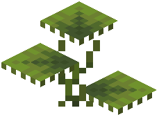 Small Dripleaf