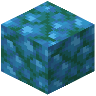 Block of Raw Aquarium