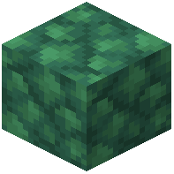 Block of Raw Prometheum