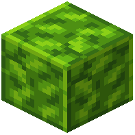 Polished Peridot Schist