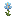 Blue Iris
