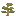 Cedar Sapling