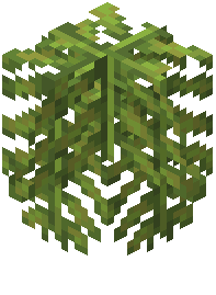Coconut Leaves
