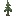 Fir Sapling