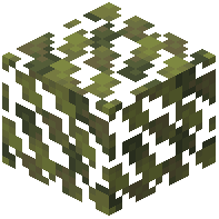 Ghaf Leaves