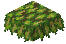 Frond Thatch Slab