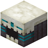 Shotgun Barrel
