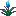Soul Torchflower