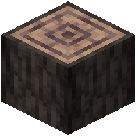 Rotted Log