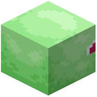 Shiny Bulbasaur Block