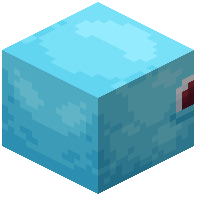 Squirtle Block