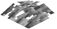 Mangrove Leaf Pile