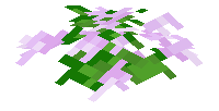 Pink Tulip Pile