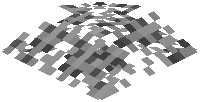 Spruce Leaf Pile