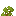 acacia_shrub