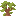 baobab_shrub